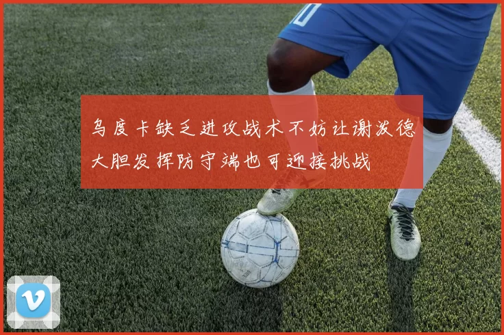 乌度卡缺乏进攻战术不妨让谢泼德大胆发挥防守端也可迎接挑战