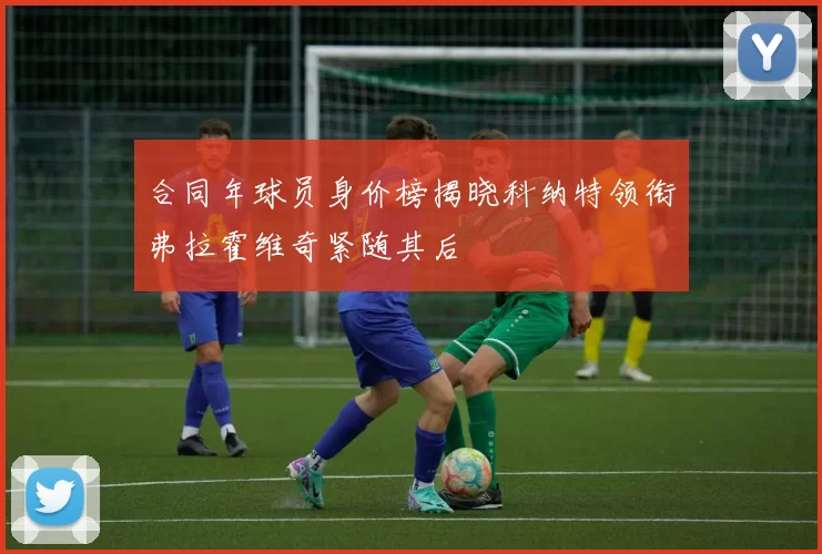 合同年球员身价榜揭晓科纳特领衔弗拉霍维奇紧随其后